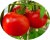Tomatoes Michurinsky
