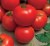 Tomatoes Dawn F1