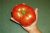 Tomatoes Russian size