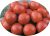 Tomatoes Bolero F1