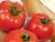 Tomatoes Ace-55
