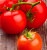Tomatoes Campbell 33