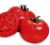 Tomatoes Akela F1