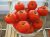 Tomatoes Pietro F1