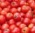 Tomatoes Maryanka F1