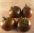 Tomatoes Black Prince
